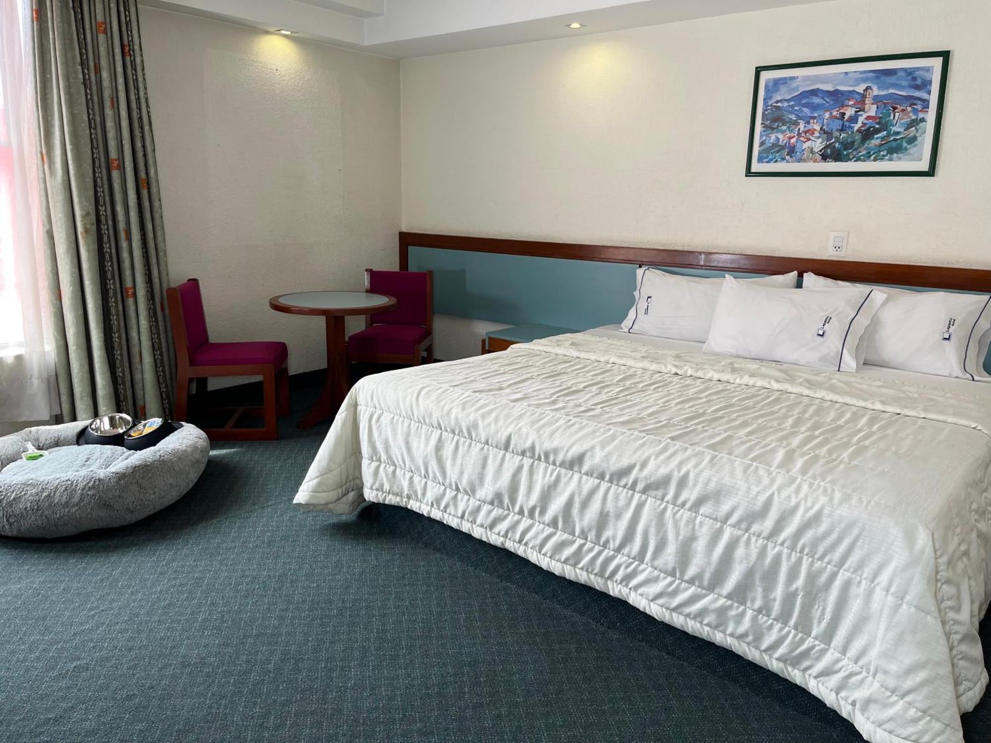מקסיקו סיטי Hotel Lepanto Reforma מראה חיצוני תמונה